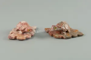 Mramor korytnačka na liste